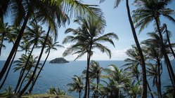 Palmenumsäumte Aussicht vom Club Santana auf São Tomé und Príncipe