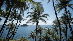 Palmenumsäumte Aussicht vom Club Santana auf São Tomé und Príncipe