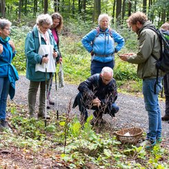 Eine Reisegruppe betrachtet einen Pilz am Wegesrand im Westerwald.
