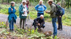 Eine Reisegruppe betrachtet einen Pilz am Wegesrand im Westerwald.