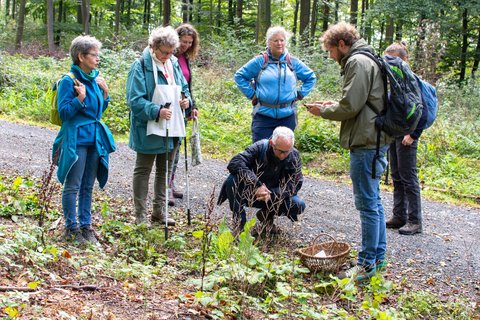 Eine Reisegruppe betrachtet einen Pilz am Wegesrand im Westerwald.