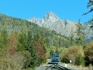 Man blickt von hinten auf eine davonfahrende blaue Zahnradbahn, die von Wald umgeben ist. Im Bildhintergrund erhebt sich ein karger Berg, darüber blauer Himmel.