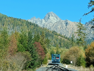 Man blickt von hinten auf eine davonfahrende blaue Zahnradbahn, die von Wald umgeben ist. Im Bildhintergrund erhebt sich ein karger Berg, darüber blauer Himmel.