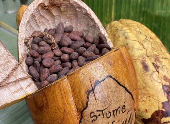 Eine große geöffnete Kokosnuss mit der Beschriftung "S-Tomé". Die Kokosnuss ist mit vielen dunkelbraunen Mandeln befüllt.