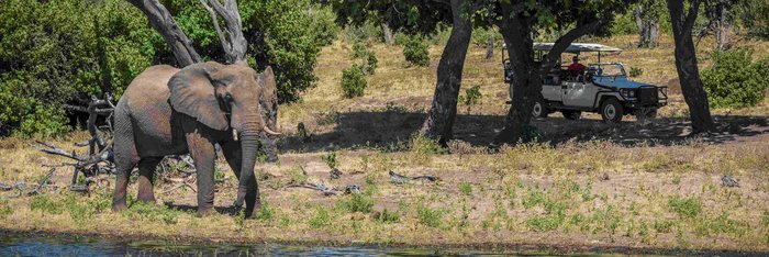 Elefanten Beobachtung auf Safari in Südafrika Menschen im Auto beobachten einen Elefanten am Wasser