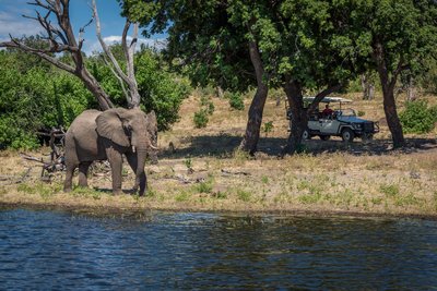 Elefanten Beobachtung auf Safari in Südafrika Menschen im Auto beobachten einen Elefanten am Wasser