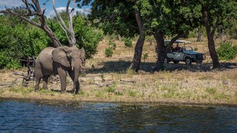 Menschen im Auto beobachten einen Elefanten am Wasser