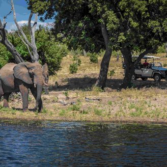 Menschen im Auto beobachten einen Elefanten am Wasser