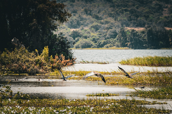 Die vorderen zwei Drittel des Bildes werden von einer Seenlandschaft eingenommen. Im Hintergrund sieht man ein grün-bewachsenes Ufer.