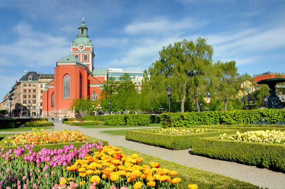 Beete in Stockholms Kungsträdgarden Im Vordergrund sind von Hecken gefasste Beete mit blühenden Tulpen zu sehen, im Hintergrund stehen rechts Bäume, links hat man den Durchblick auf Gebäude, u.a. eine rote Kirche.