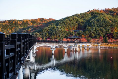 Das Bild zeigt die Wolyeonggyo Brücke in Andong und den Fluss Nakdong vor herbstlich bunten Bäumen auf der gegenüberligenden, hügligen Flussseite.