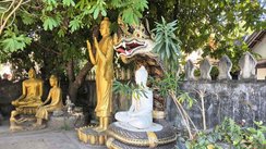 Unter einem Baum befindet sich eine Ansammlung von Buddha-Statuen. Horizontal hinter ihnen verläuft eine Mauer durch das Bild.