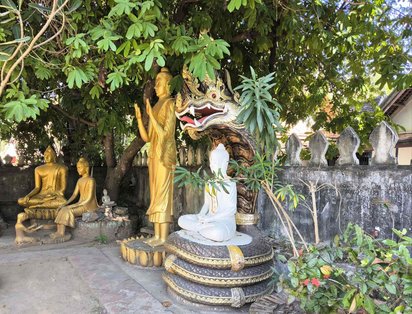 Unter einem Baum befindet sich eine Ansammlung von Buddha-Statuen. Horizontal hinter ihnen verläuft eine Mauer durch das Bild.