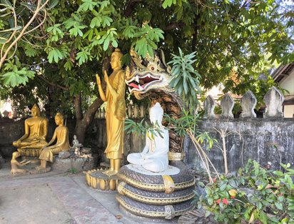 Buddha Statuen in Luang Prabang Unter einem Baum befindet sich eine Ansammlung von Buddha-Statuen. Horizontal hinter ihnen verläuft eine Mauer durch das Bild.