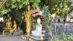 Unter einem Baum befindet sich eine Ansammlung von Buddha-Statuen. Horizontal hinter ihnen verläuft eine Mauer durch das Bild.