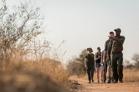 Zwei Ranger und eine Gruppe auf einem Wanderweg