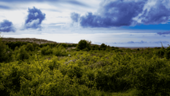 Die untere Bildhälfte wird von einer grünen Kraut- und Buschlandschaft dominiert, über der sich ein blau-weißer Himmel mit einzelnen dräuenden Wolken erhebt.