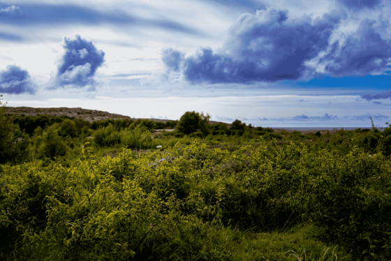 Die untere Bildhälfte wird von einer grünen Kraut- und Buschlandschaft dominiert, über der sich ein blau-weißer Himmel mit einzelnen dräuenden Wolken erhebt.