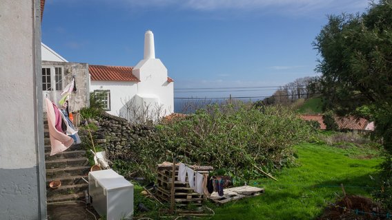 Blick in einen Garten auf Flores, Azoren