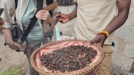 Geröstete Kaffeebohnen liegen in einer aus Stroh geflochtenen Schale, die von einem afrikanischen Mann in westlicher Kleidung gehalten wird, dessen Kopf man nicht sieht.