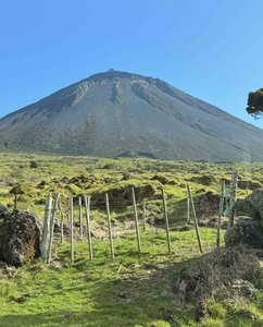 Hinter einer grünen Wiese erhebt sich ein schwarzer Vulkankegel gen Himmel.