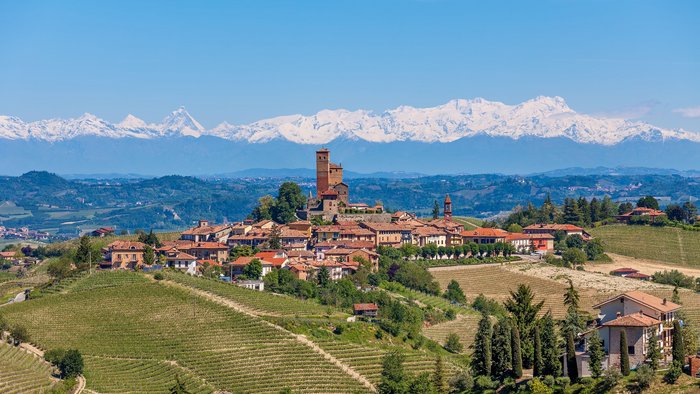 Panoramablick über Weinhänge, Schloss und Berge