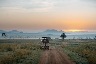 Ein Jeep fährt in wilder Natur dem Sonnenuntergang entgegen.