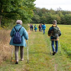 Wandergruppe läuft auf einem Feldweg entlang des Westerwaldes.