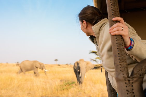 Frau blick aus dem Safari- Fahrzeug auf zwei Elefanten
