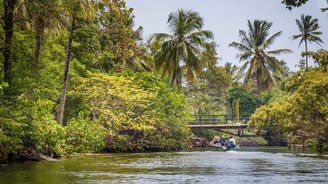 Eine Gruppe Reisender fährt in einem Boot auf einem palmengesäumten See in Sri Lanka.