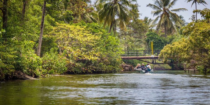 Natur pur: Zum Beispiel bei einer Bootsfahrt auf dem Soraba-See mit Ranger in Sri Lanka