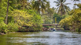 Eine Gruppe Reisender fährt in einem Boot auf einem palmengesäumten See in Sri Lanka.