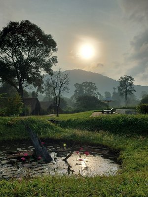 Naturverbundenes Glamping bei Gal Oya Eine Hotelanlage mit palmengedeckten Bungalows, im Vordergrund ein Teich mit Lotusblumen.