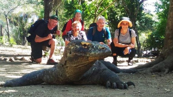 Reisegruppe mit einem Reptil im Vordergrund