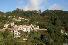 Ein Dorf in einem Wald