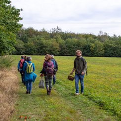 Wandern und Pilze suchen mit dem Reiseleiter und Pilzexperten Marcus.