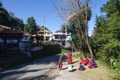 Junge Mönche ruhen sich auf der Straße vor dem Tempel im nordindischen Kewzing aus.