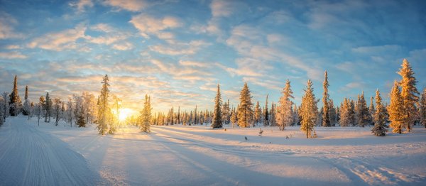 Das Foto zeigt eine Schneelandschaft mit Bäumen in Finnisch-Lappland bei Sonnenuntergang.