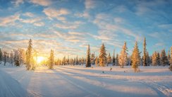 Das Foto zeigt eine Schneelandschaft mit Bäumen in Finnisch-Lappland bei Sonnenuntergang.