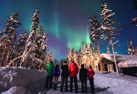 Eine Gruppe von Menschen steht im Schnee und beobachten Polarlichter am Himmel. Um sie herum stehen ein paar Tannen.