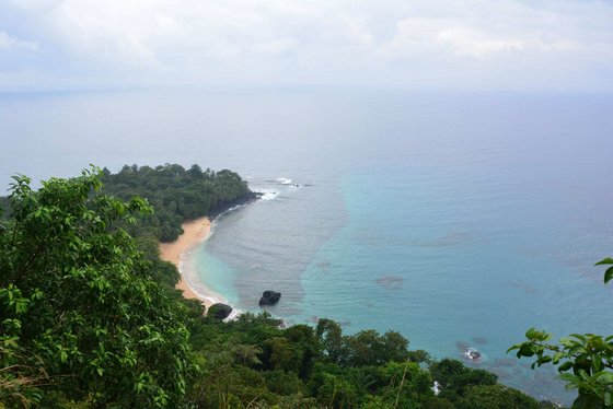 Über grüne Baumwipfel schaut man auf eine Landzunge mit einem C-förmigen Sandstrand. Die Sicht ist etwas diesig und Meer und Himmel scheinen fast ineinander überzugehen.