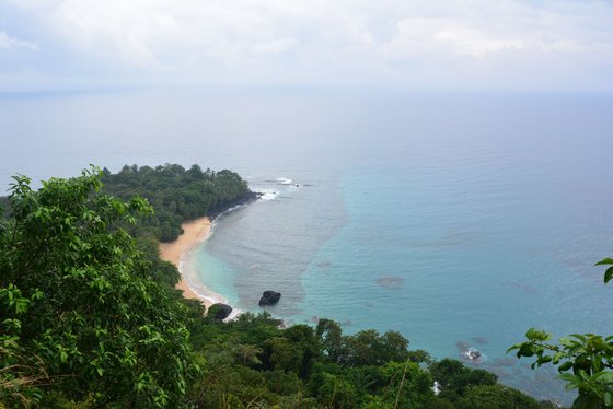 Über grüne Baumwipfel schaut man auf eine Landzunge mit einem C-förmigen Sandstrand. Die Sicht ist etwas diesig und Meer und Himmel scheinen fast ineinander überzugehen.