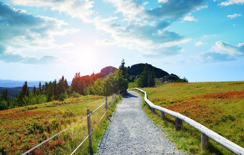 Wanderweg mitten im Nationalpark Bayerische Wald