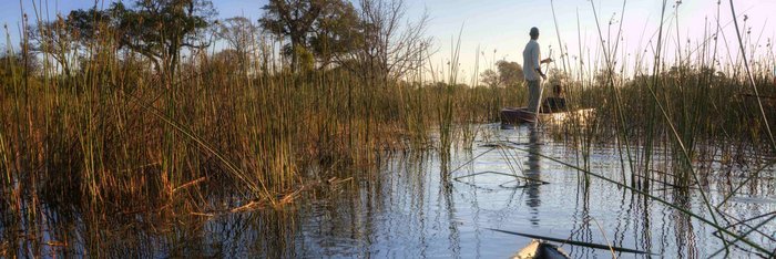 Spitze eines Einbaum Bootes im Wasser im Okavango Delta in Boswana.