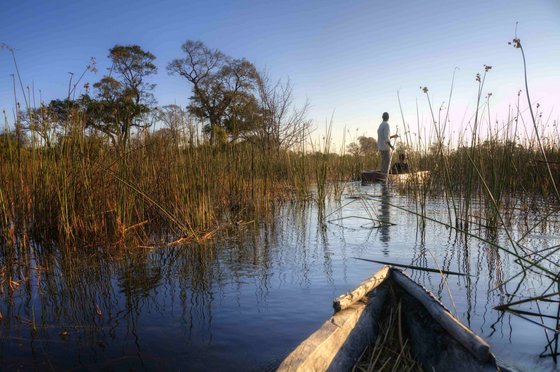 Spitze eines Einbaum Bootes im Wasser im Okavango Delta in Boswana.