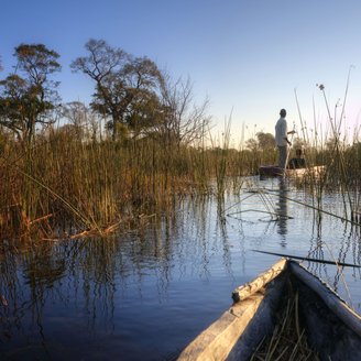 Spitze eines Einbaum Bootes im Wasser im Okavango Delta in Boswana.