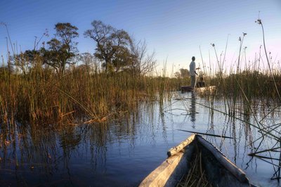 Spitze eines Einbaum Bootes im Wasser im Okavango Delta in Boswana.