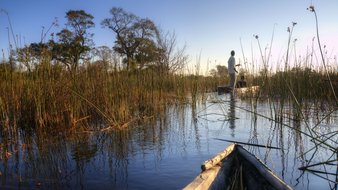 Spitze eines Einbaum Bootes im Wasser im Okavango Delta in Boswana.