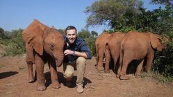 Bild, für die Biodivsersity Unterstützung, welches einen Mann und 4 Elefanten zeigt