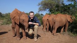Pressebild Biodiversity Foundation Bild, für die Biodivsersity Unterstützung, welches einen Mann und 4 Elefanten zeigt